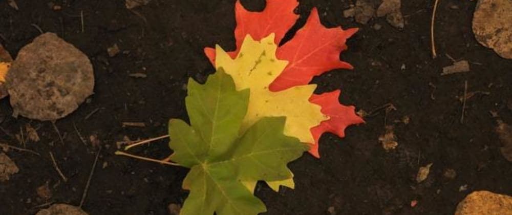 How to use transitions and transform in CSS