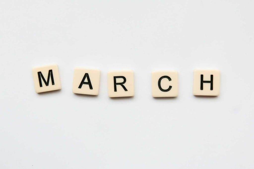 March 2024 Recap: IA / Schematics, Community and Writing