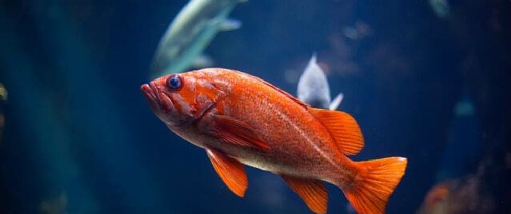 The functions in Typescript