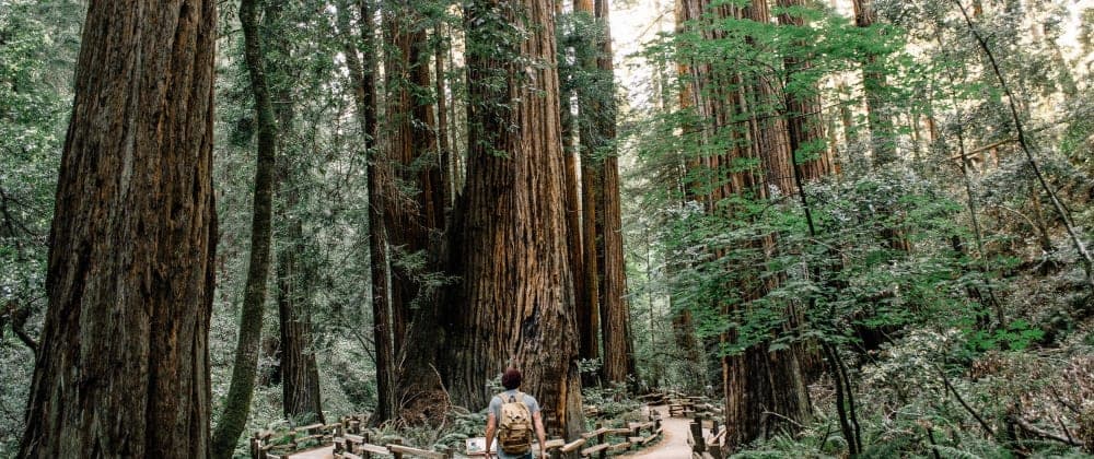 Use fancy imports with path mapping in tsconfig